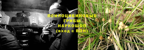 a pvp Абаза